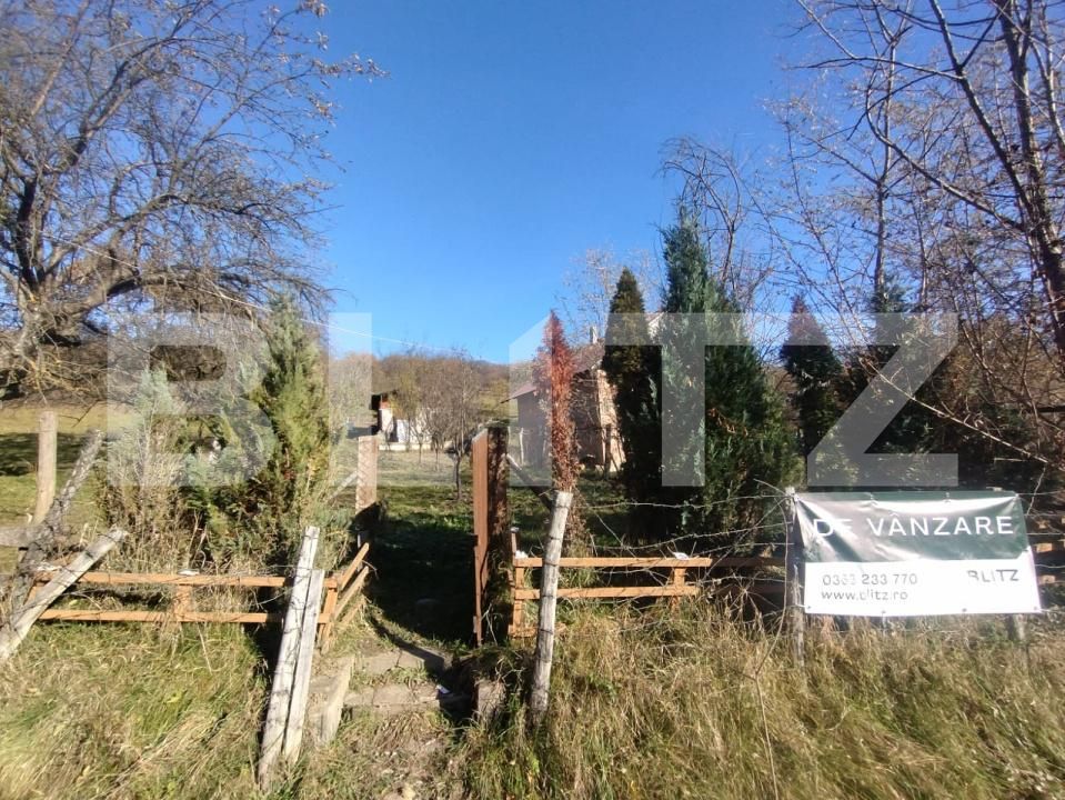 Teren de vânzare Livezile - 179863TV | BLITZ Bistriţa | Poza12