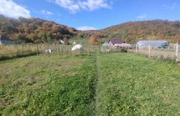 Casa cu 3 camere, 90 mp, zona Beclenut