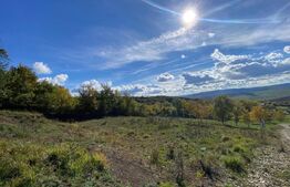 Teren 10 ari, Valea Budacului – priveliște superbă, zonă de cabane