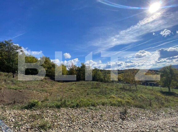 Teren de vânzare Exterior Vest - 180065TV | BLITZ Bistriţa | Poza1