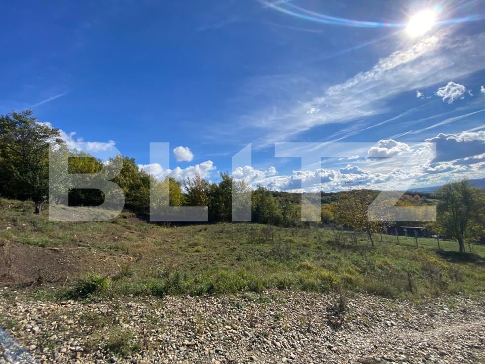 Teren de vânzare Exterior Vest - 180065TV | BLITZ Bistriţa | Poza1