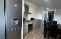 Apartament 2 camere, 66 mp, zona Independentei