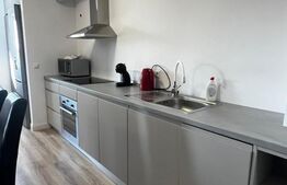 Apartament 2 camere, 66 mp, zona Independentei