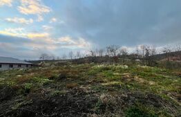 Casa 3 camere, 143 mp, comuna Chiuza, 36 ari teren