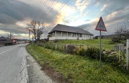 Casa 3 camere, 143 mp, comuna Chiuza, 36 ari teren