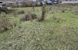 Parcela ideală de 10,5/20/30 ari – spațiu, liniște și potențial