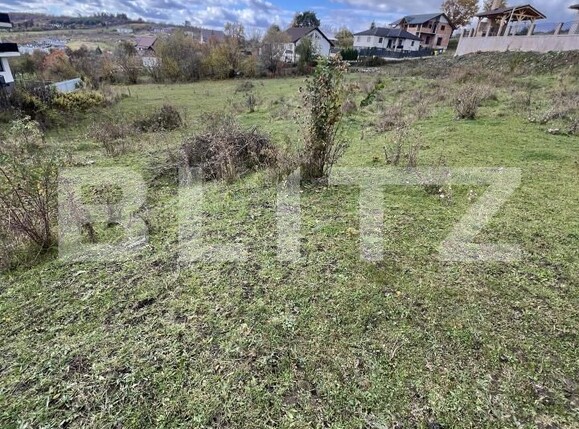 Teren de vânzare Centura - 180565TV | BLITZ Bistriţa | Poza2