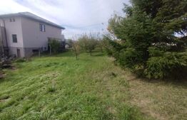 Teren intravilan 728 mp – Sigmir, cu toate utilitățile la poartă