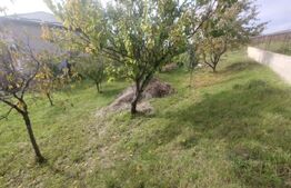 Teren intravilan 728 mp – Sigmir, cu toate utilitățile la poartă