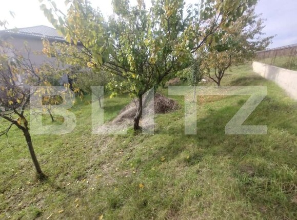 Teren de vânzare Exterior Sud - 180570TV | BLITZ Bistriţa | Poza4