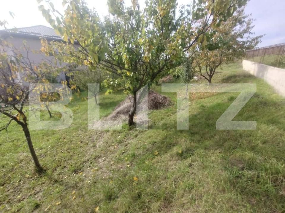 Teren de vânzare Exterior Sud - 180570TV | BLITZ Bistriţa | Poza4