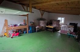 Casă complet mobilată și utilată, garaj dublu, curte spatioasa (Sarata)