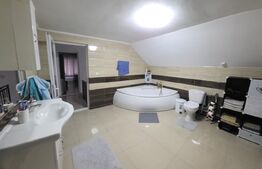 Casă complet mobilată și utilată, garaj dublu, curte spatioasa (Sarata)