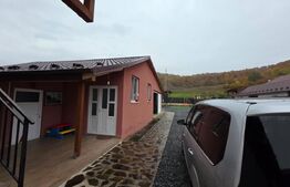 Casă complet mobilată și utilată, garaj dublu, curte spatioasa (Sarata)