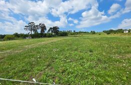 Parcelă 50.000 mp – zonă Tărpiului