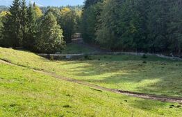 Teren intravilan+extravilan in suprafata de 39 ari,zona Colibita