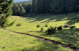 Teren intravilan+extravilan in suprafata de 39 ari,zona Colibita