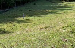 Teren intravilan+extravilan in suprafata de 39 ari,zona Colibita