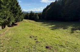 Teren intravilan+extravilan in suprafata de 39 ari,zona Colibita