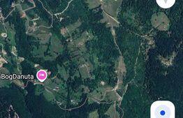 Teren intravilan+extravilan in suprafata de 39 ari,zona Colibita