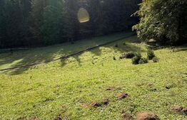 Teren intravilan+extravilan in suprafata de 39 ari,zona Colibita