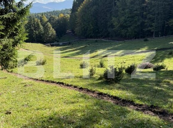 Teren de vânzare Colibiţa - 181081TV | BLITZ Bistriţa | Poza5