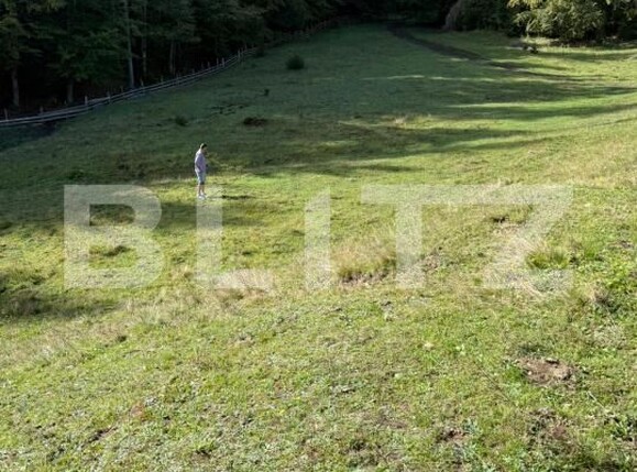 Teren de vânzare Colibiţa - 181081TV | BLITZ Bistriţa | Poza4