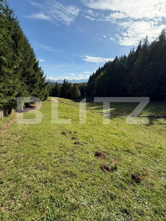 Teren de vânzare Colibiţa - 181081TV | BLITZ Bistriţa | Poza3