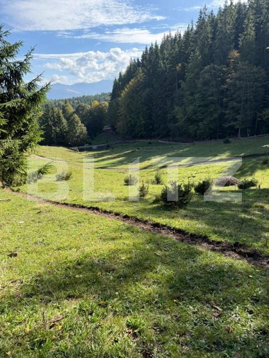 Teren de vânzare Colibiţa - 181081TV | BLITZ Bistriţa | Poza5