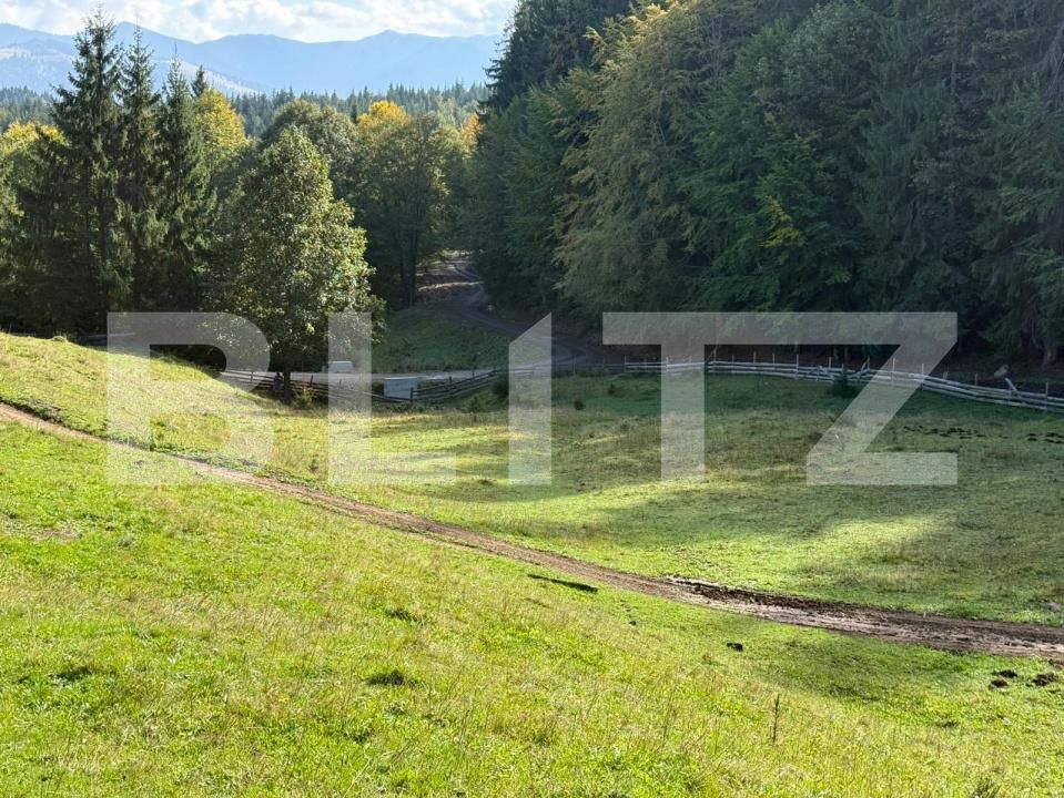 Teren de vânzare Colibiţa - 181081TV | BLITZ Bistriţa | Poza1