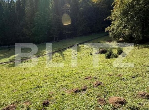 Teren de vânzare Colibiţa - 181084TV | BLITZ Bistriţa | Poza2