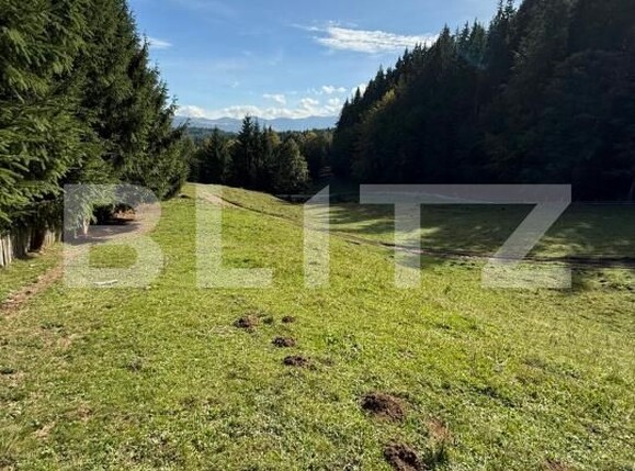 Teren de vânzare Colibiţa - 181084TV | BLITZ Bistriţa | Poza3