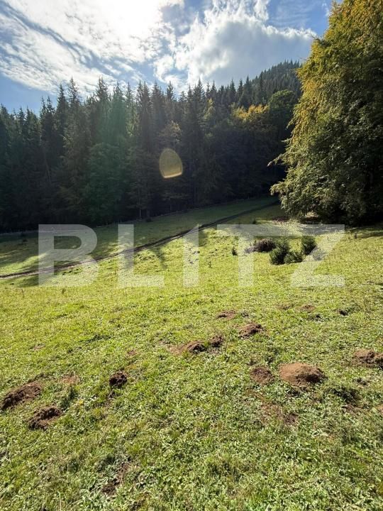 Teren de vânzare Colibiţa - 181084TV | BLITZ Bistriţa | Poza2