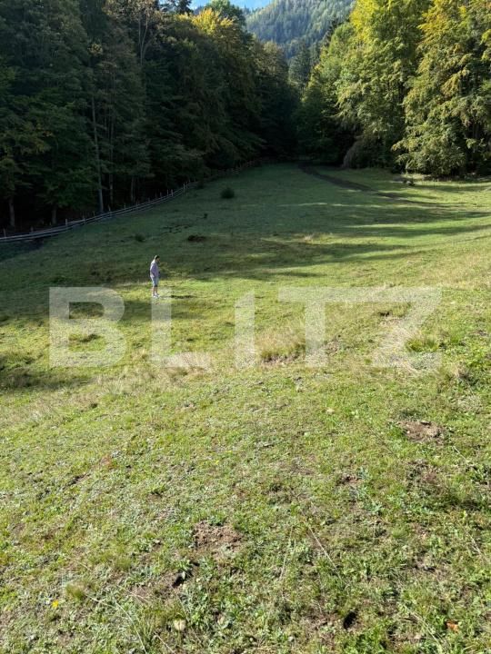 Teren de vânzare Colibiţa - 181084TV | BLITZ Bistriţa | Poza5