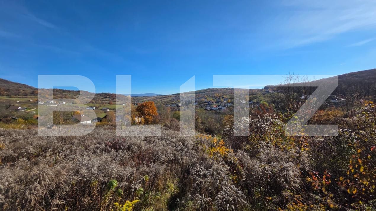 Teren de vânzare Exterior Sud - 181116TV | BLITZ Bistriţa | Poza2