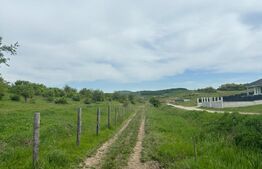 Teren extravilan, zona Sigmir,500mp