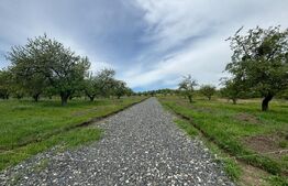 Teren extravilan, zona Sigmir,500mp