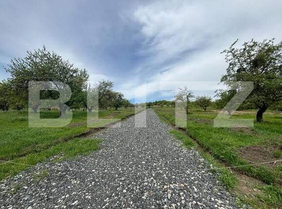 Teren de vânzare Viișoara - 181240TV | BLITZ Bistriţa | Poza2