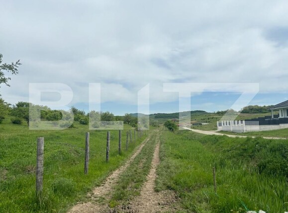 Teren de vânzare Viișoara - 181240TV | BLITZ Bistriţa | Poza1