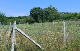 Teren extravilan de 1000 mp, situat pe strada Ghinzii