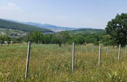 Teren extravilan de 1000 mp, situat pe strada Ghinzii