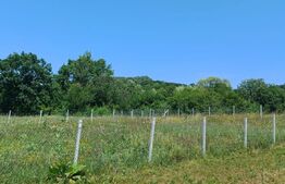 Teren extravilan de 1000 mp, situat pe strada Ghinzii
