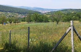 Teren extravilan de 1000 mp, situat pe strada Ghinzii