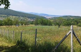 Teren extravilan de 1000 mp, situat pe strada Ghinzii