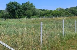 Teren de vânzare Viișoara - 188738TV | BLITZ Bistriţa | Poza4