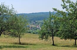 Teren extravilan de 1000 mp, situat pe strada Ghinzii