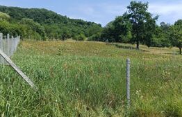 Teren extravilan de 1000 mp, situat pe strada Ghinzii