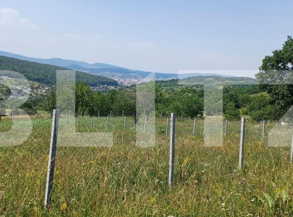 Teren de vânzare Nord-Est - 181679TV | BLITZ Bistriţa | Poza8