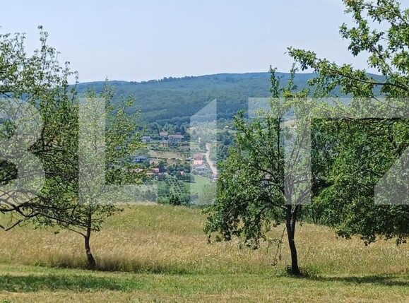 Teren de vânzare Nord-Est - 181679TV | BLITZ Bistriţa | Poza3