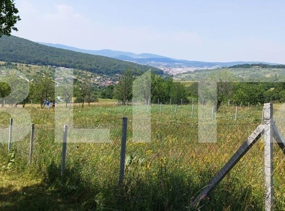 Teren de vânzare Nord-Est - 181679TV | BLITZ Bistriţa | Poza2